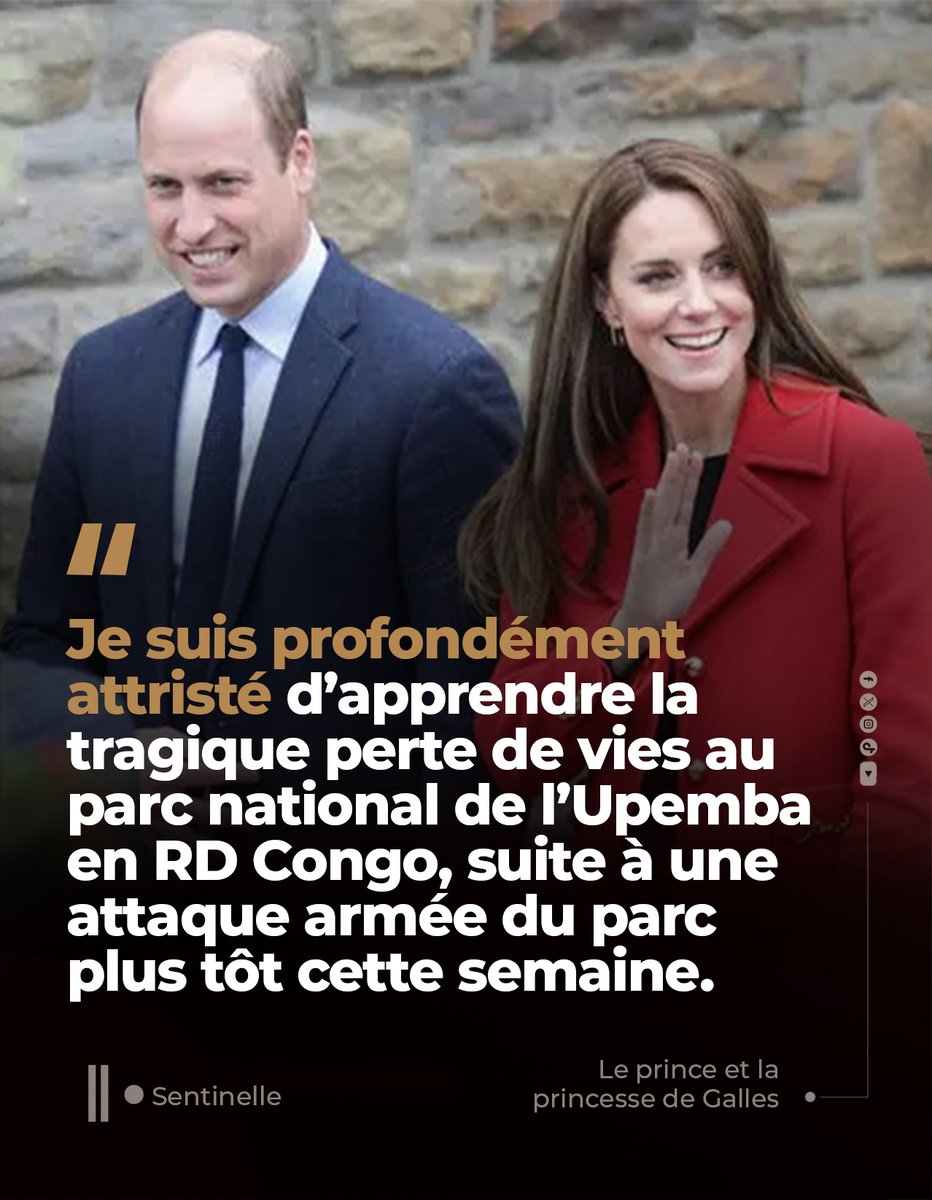 Sentinelle tweet media