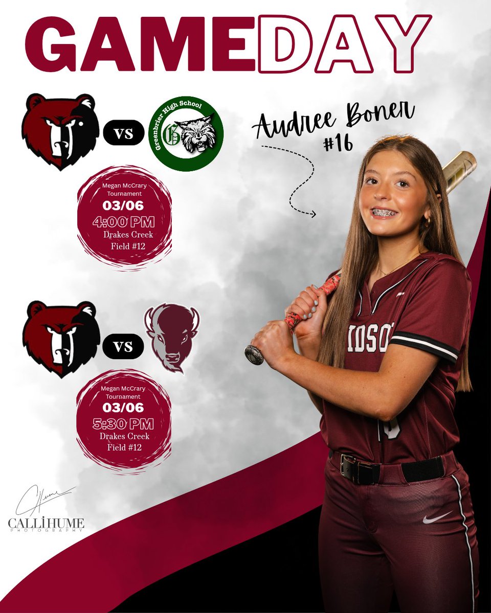 Davidson Academy Lady Bears Softball tweet media