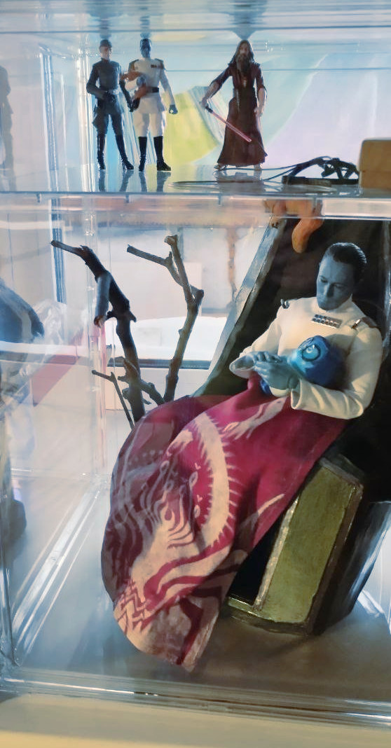 Мои маленькие имперцы (а так же сумасшедший клон джедая, Печаль и исаламири) получили новый дом.

#StarWars #TimothyZahn #Thrawn