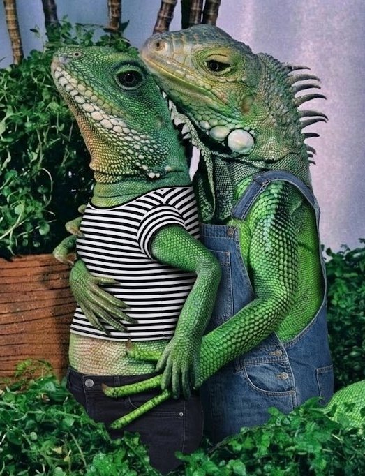 AI EU TO MORRENDO QUE ISSO KKKKKKKKKKKKKKKKKKKKKKKKKKK