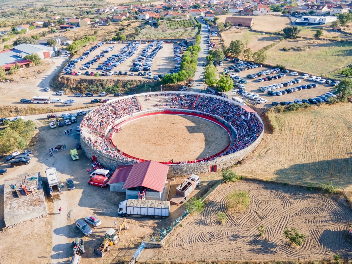Basta de touradas tweet media