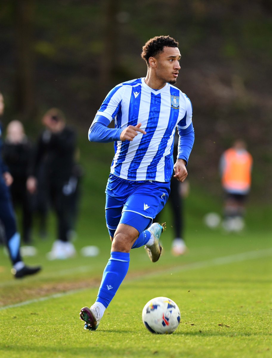 Sheffield Wednesday tweet media