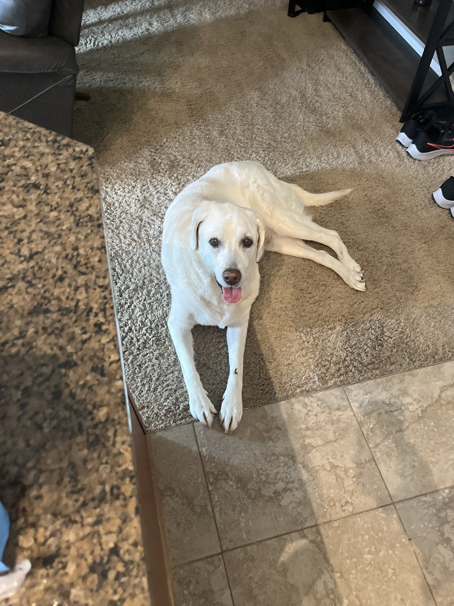 bigmattpaulsen's tweet photo. Hello Friday! Bring on the rain! Had some thunder this morning! A welcomed sound!! Road trip for some hockey this weekend! Up and at em early. 1 mile run done! May run more later?🤔goodday!
#jkm #inspire #bella #thisis61 
#brooksshoes https://t.co/CDOQQNC1Pu