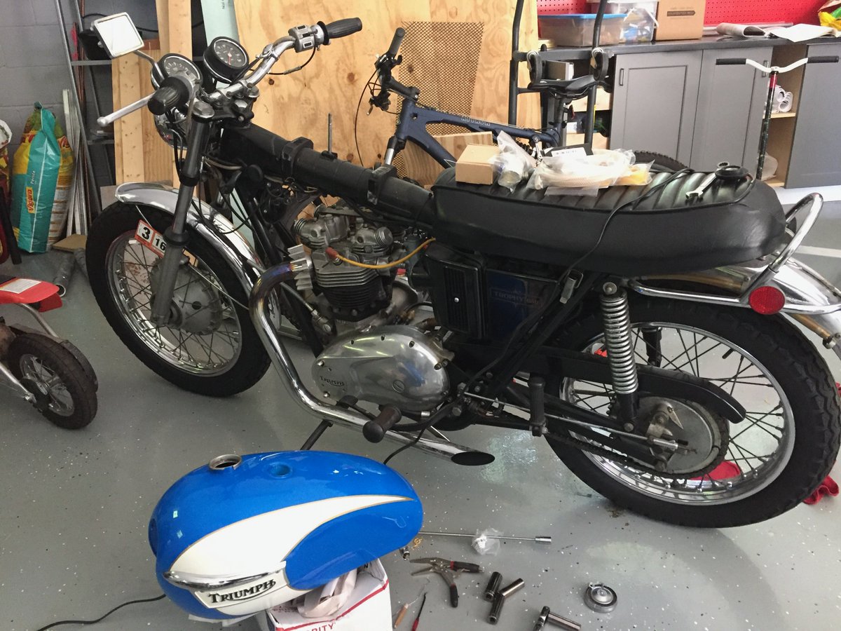 Adam Rossi tweet media