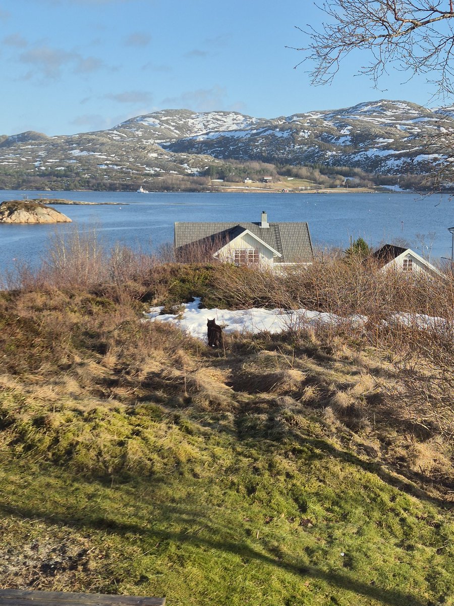 Nora 🜏 tweet media