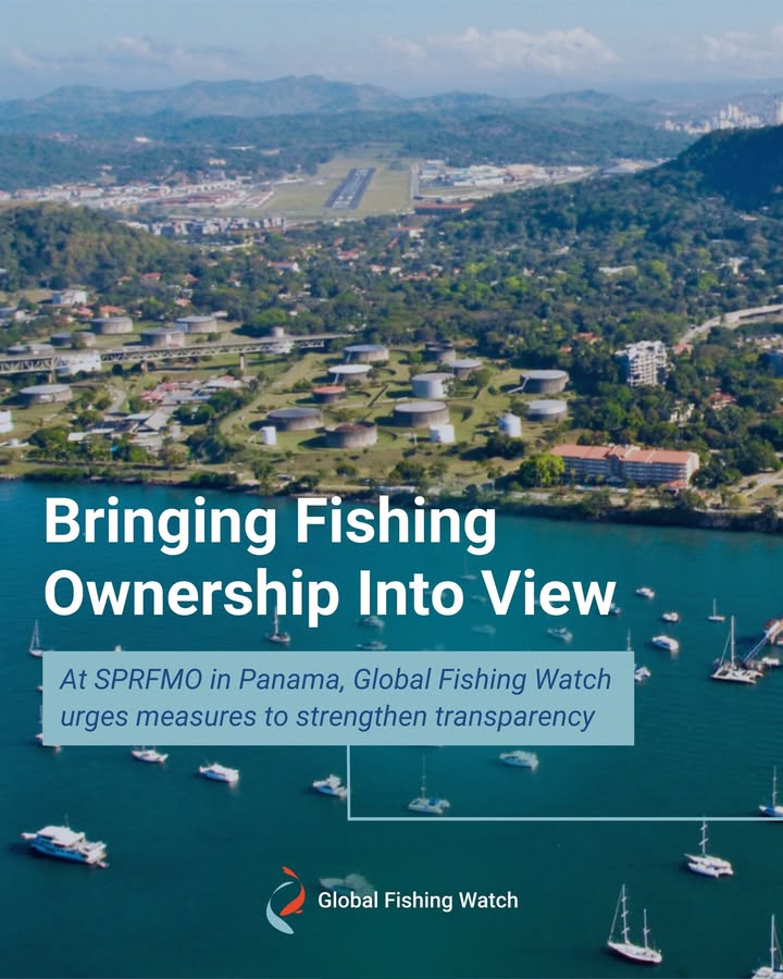 Global Fishing Watch tweet media