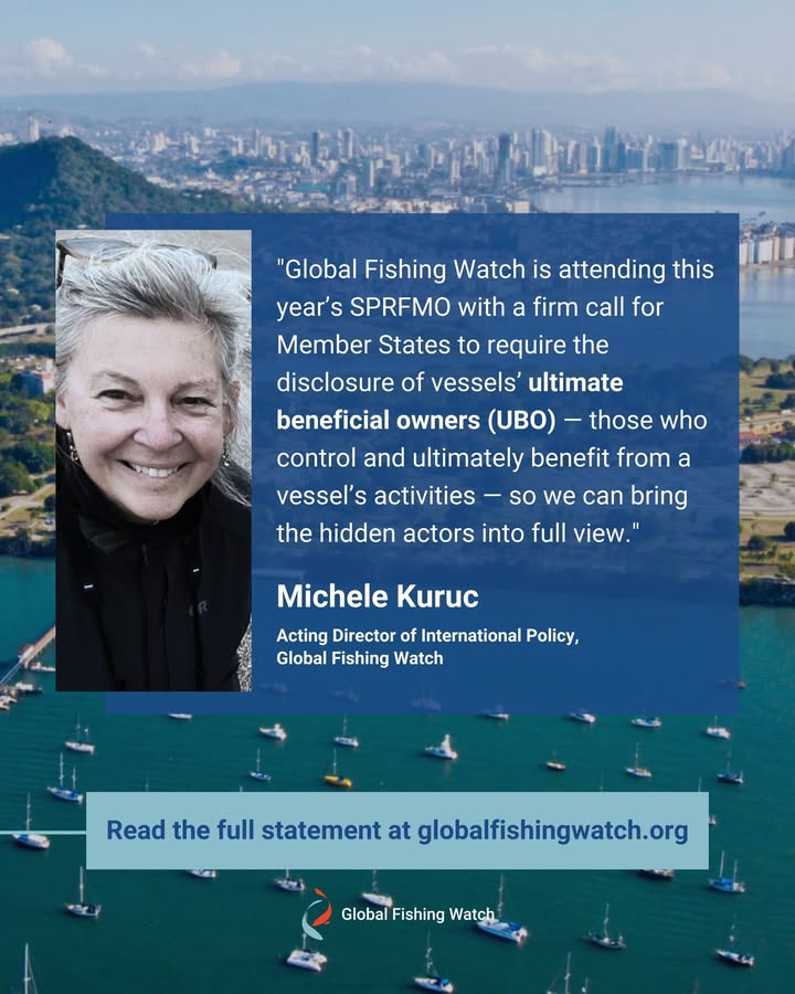 Global Fishing Watch tweet media