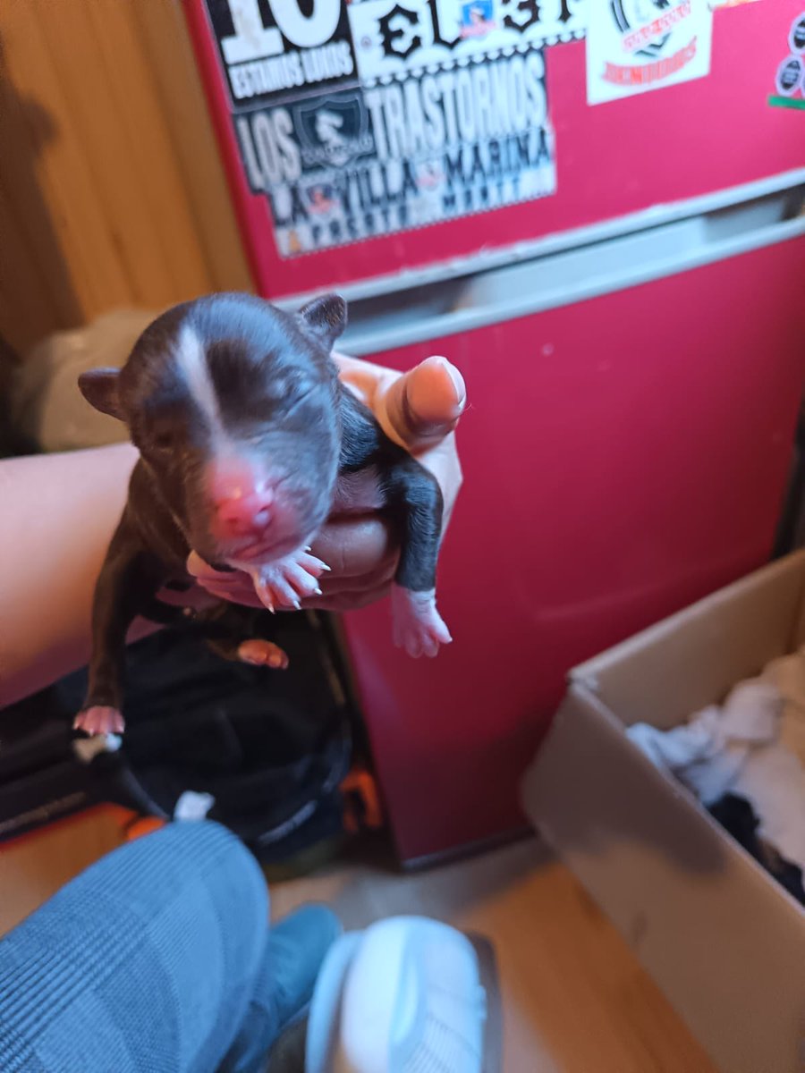 Erika Petit tweet media