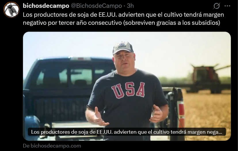 Rodolfo Mussio tweet media