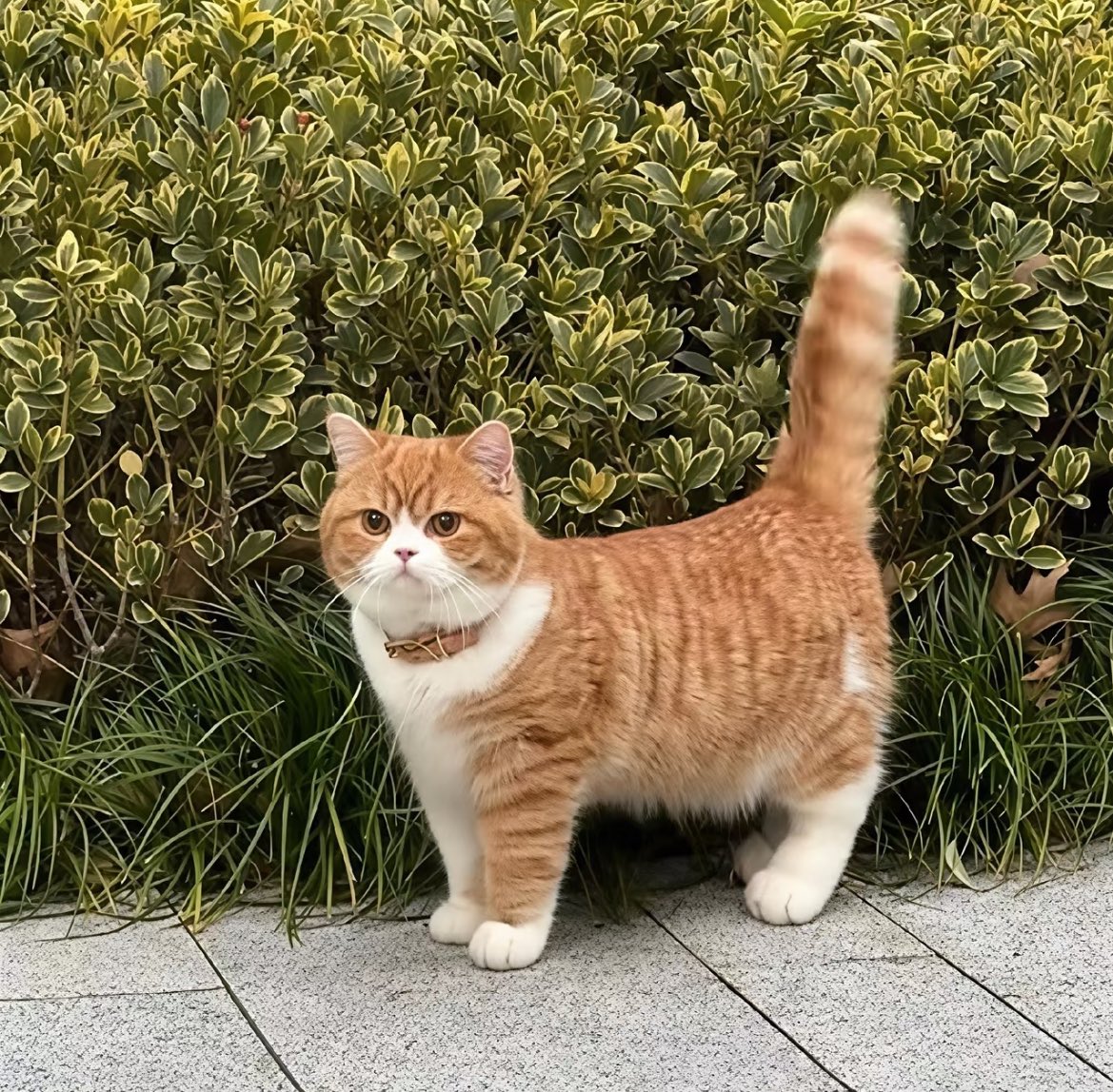 你不要胡说 tweet media