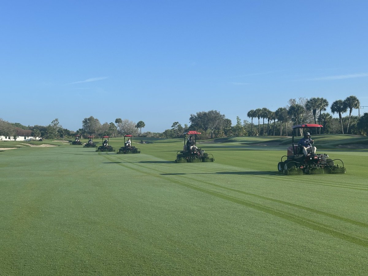 Gabe Gallo tweet media