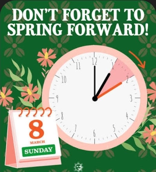 Tim Loonan tweet media