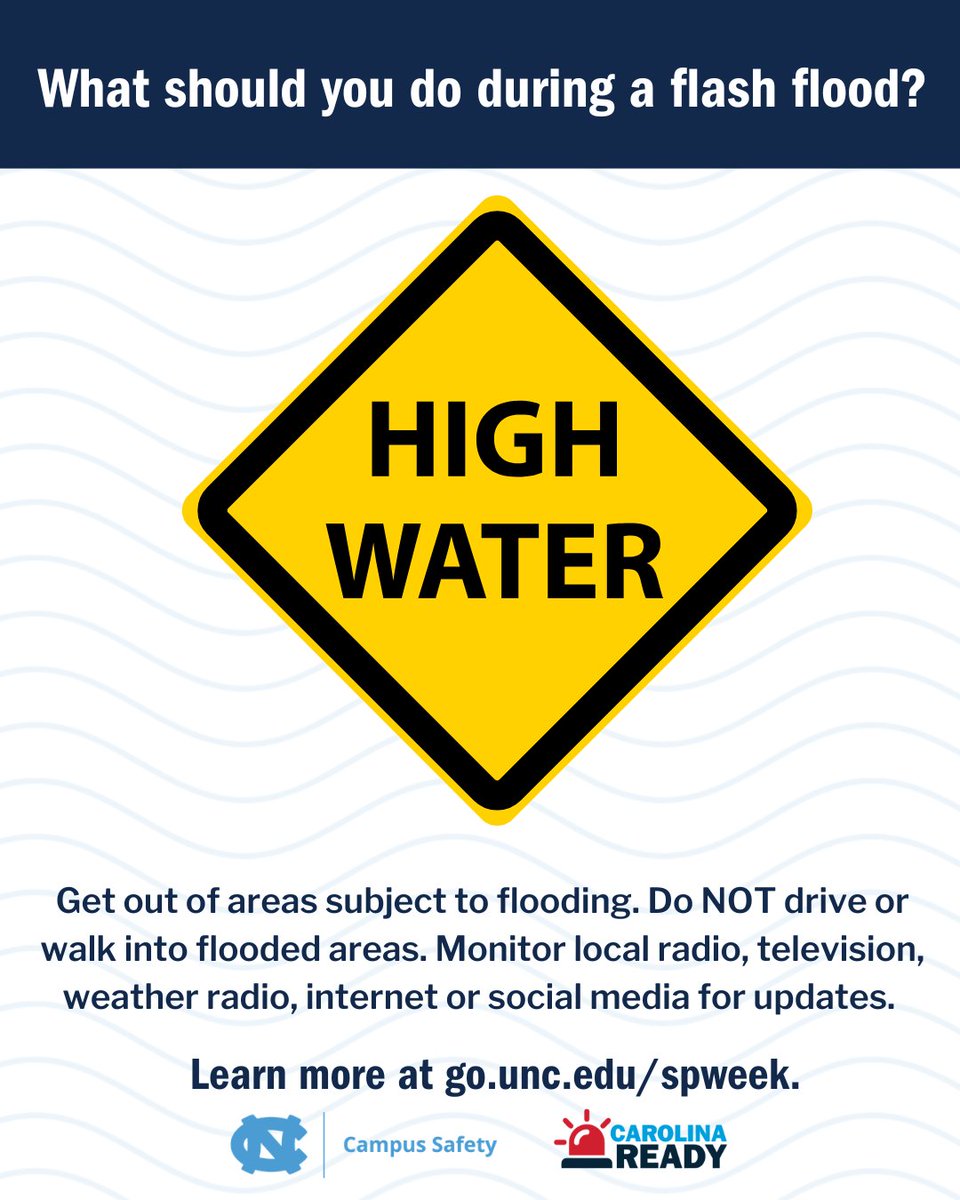 Carolina Ready tweet media