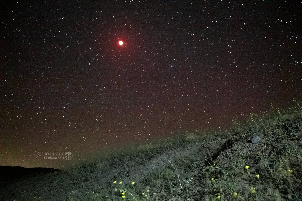 tornadartz's tweet image. Night Skies during the Lunar Eclipse #bloodmoon a few days ago.
Death Valley, CA
