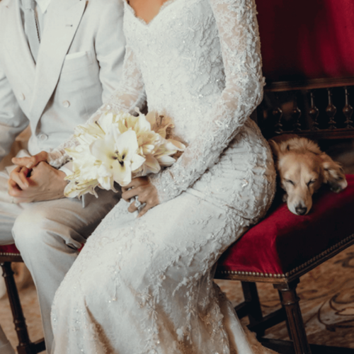 LeFondsStB's tweet photo. Costume de mariage, flashs et vacarme des paddocks : le teckel de #CharlesLeclerc est-il un compagnon dont le #BienEtreAnimal compte ou un instrument de com ? Cette mise en scène interroge sur la limite entre affection et exploitation médiatique. 🏎️🐾 https://t.co/SWM1uT1kC7