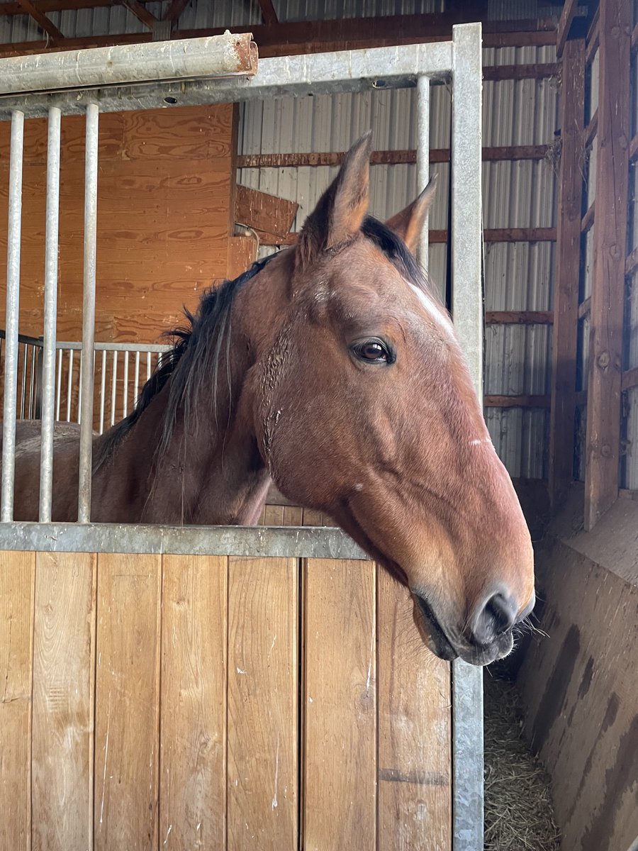 Renata Lumsden tweet media