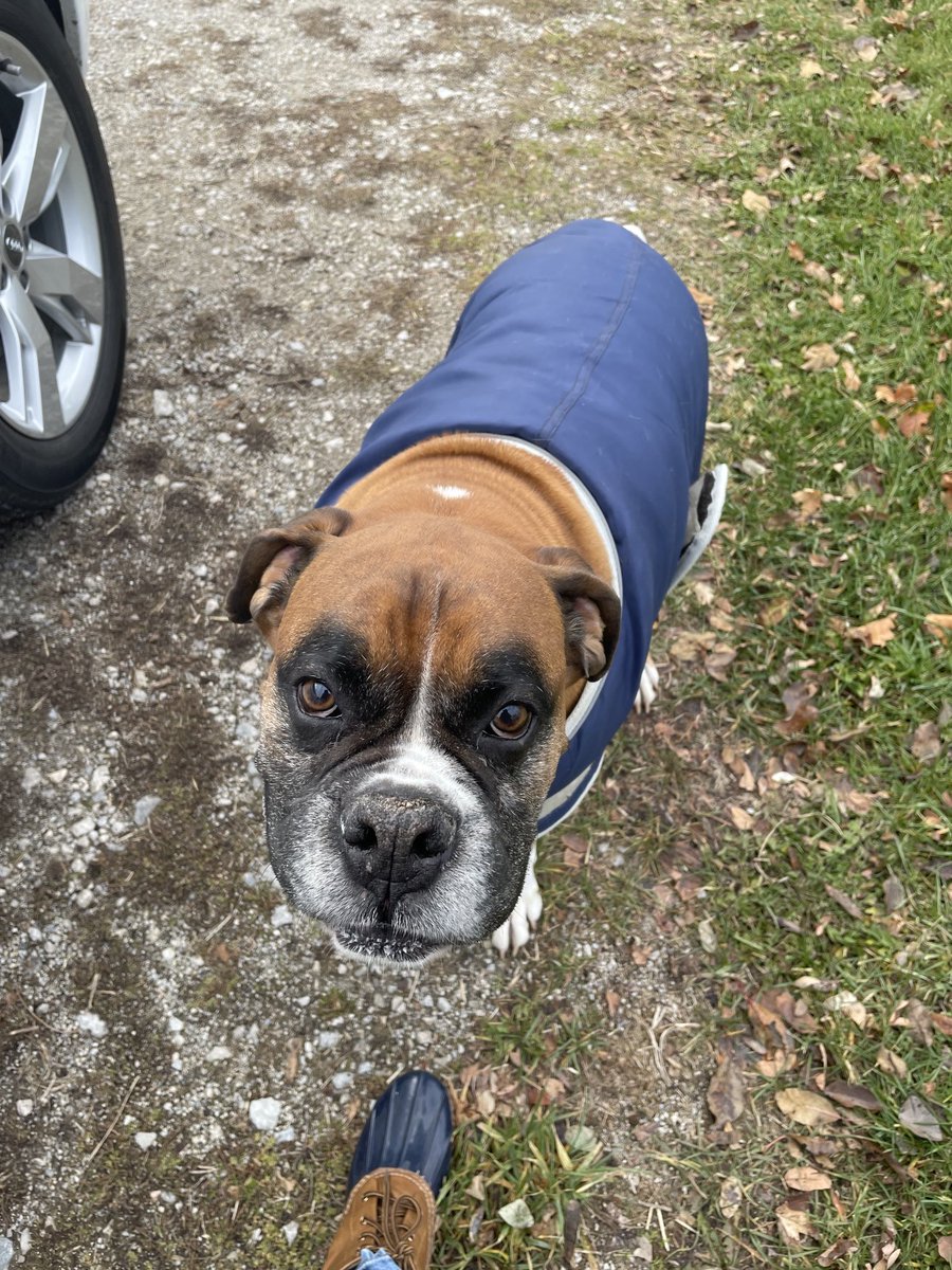 Renata Lumsden tweet media