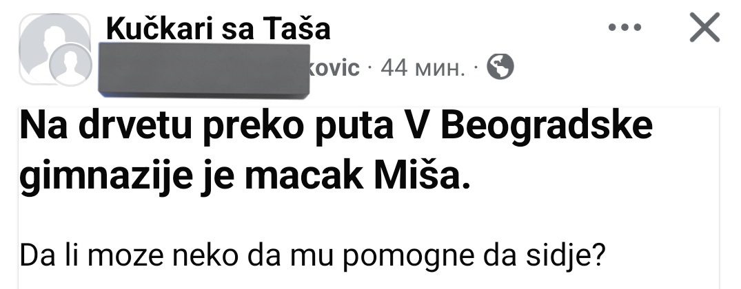 Možda može Lady Dron  🤭🤭