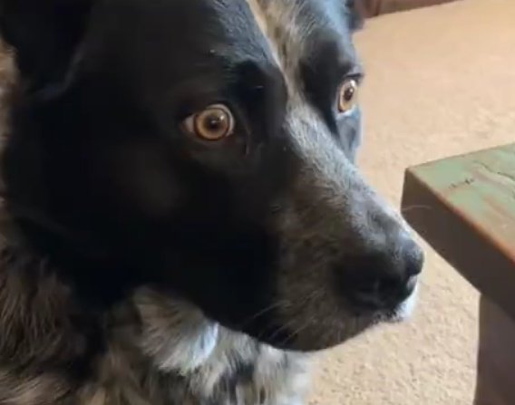 SwipingVisor tweet media