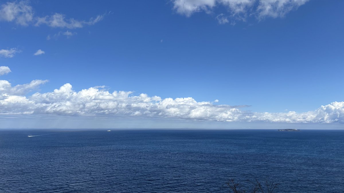 Statice もな tweet media