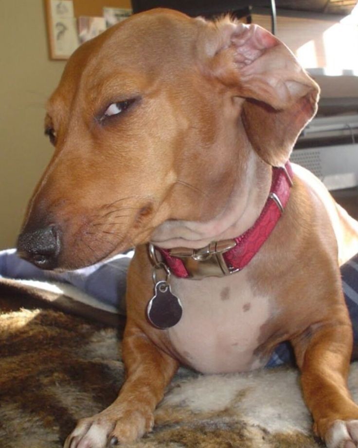 Heywhysmart 🪄 tweet media