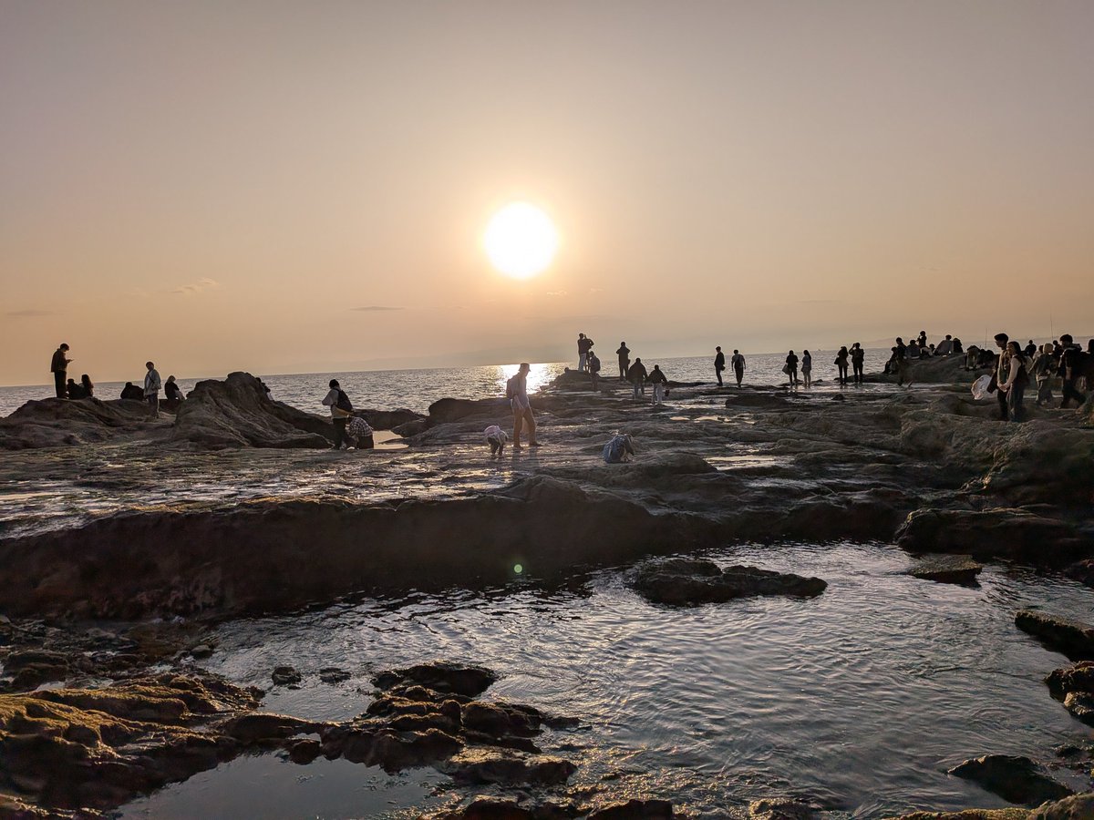 江の島楽しかったなー
ドライブに連れて行ってくれる友達ありがたすぎる。
俺も車でもっとアクティブに移動したいな