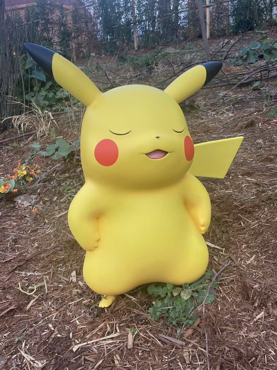 私ごとですが本日誕生日でポケパークに行ってきました✨
ここ数年で一番楽しかったし本当に、本当に最高でした！！！！