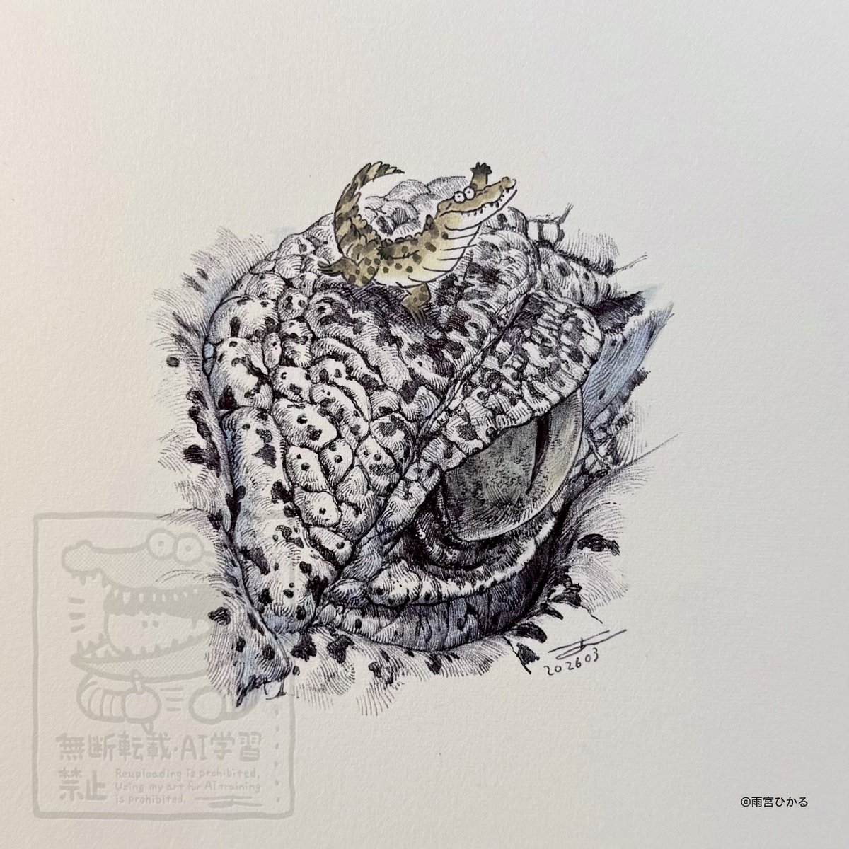 雨宮ひかる🐊京都個展~4/14 tweet media