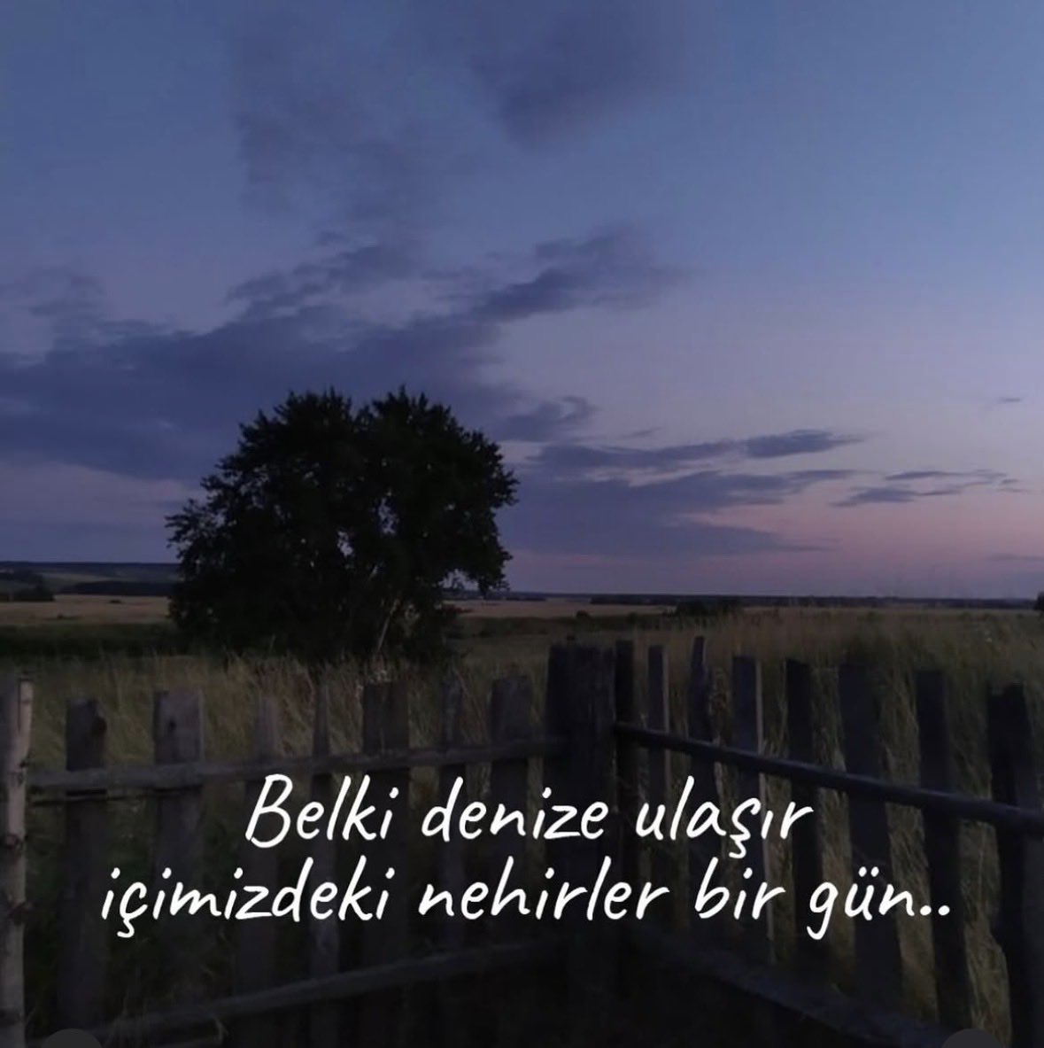 yesimyilbas's tweet photo. Nilüfer / Kavak Yelleri 🎵 https://t.co/HzIYeVdcKJ