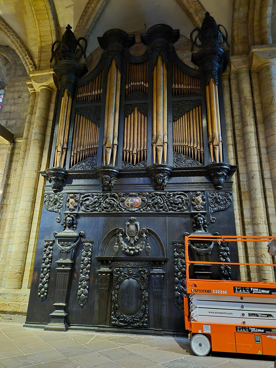 DCathFriends tweet media