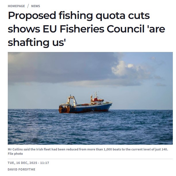 Vignir Sverrisson tweet media