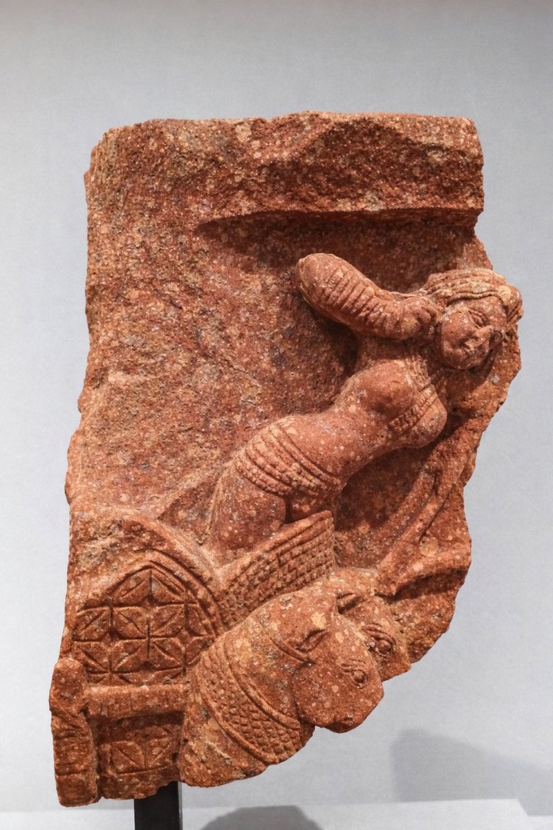 She is not a goddess.
Not symbolic abstraction.
She is a woman charioteer.

Carved in stone 2,300 years ago.

Look closely.
Forward lean.
Reins engaged.
Horse in motion.

This is not decorative femininity.
This is command.

Megasthenes wrote it down because it shocked him.
Indian