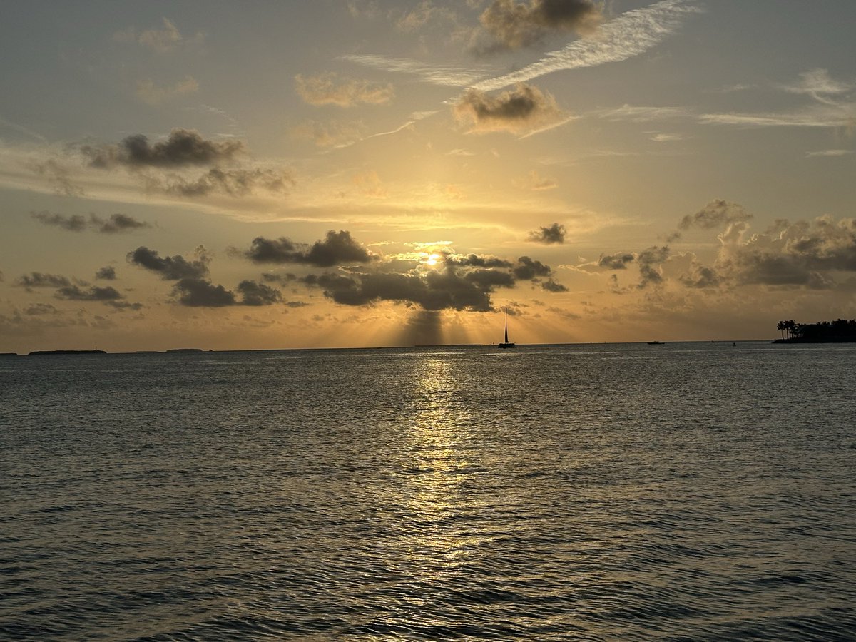 CruzinParadise's tweet image. Beach 🏖️ or Pool 🏊🏽 Today The Weather is Back !#SouthFlorida @Robertperrette