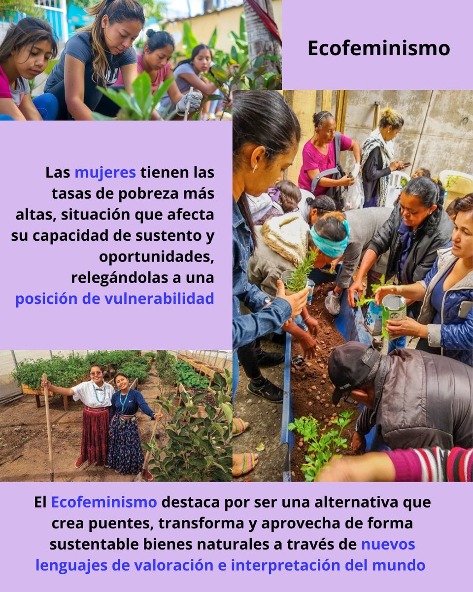 Aleida Azamar Alonso tweet media