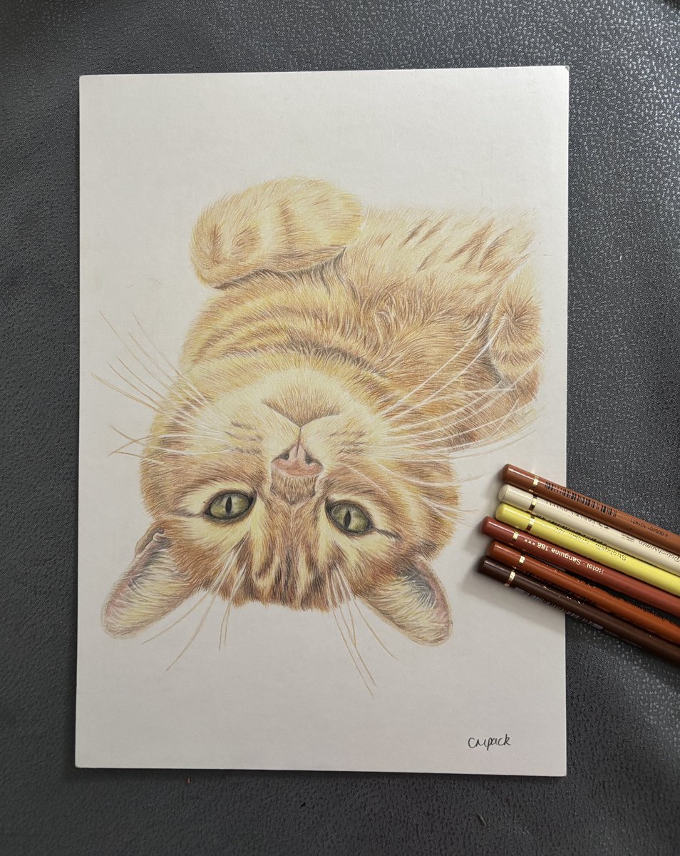 Claire May 😆 tweet media