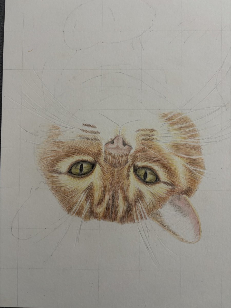 Claire May 😆 tweet media