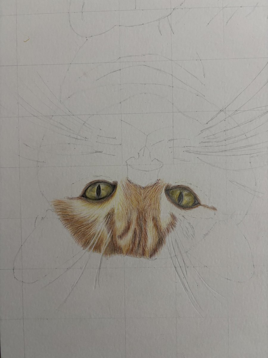 Claire May 😆 tweet media