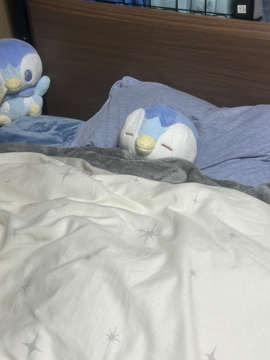 POCHA (@pocha_393) / Posts / X