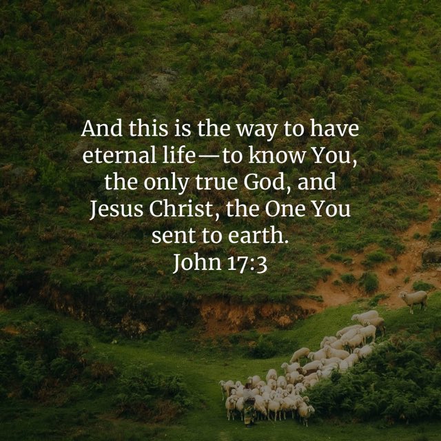 kcsmail's tweet photo. And this is the way to have eternal life—to know You, the only true God, and Jesus Christ, the One You sent to earth.
John 17:3 https://t.co/z2STsydMBk