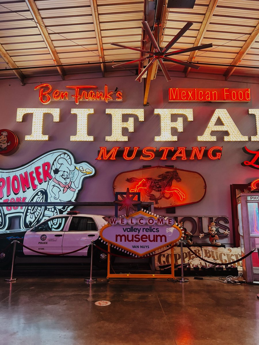 Jessica Strelioff tweet media