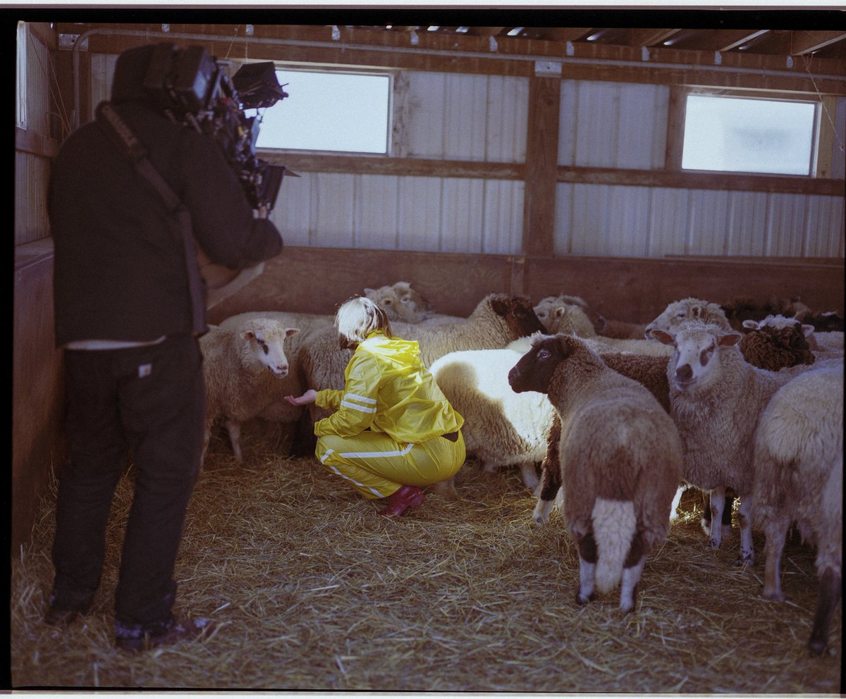 Snail Mail tweet media