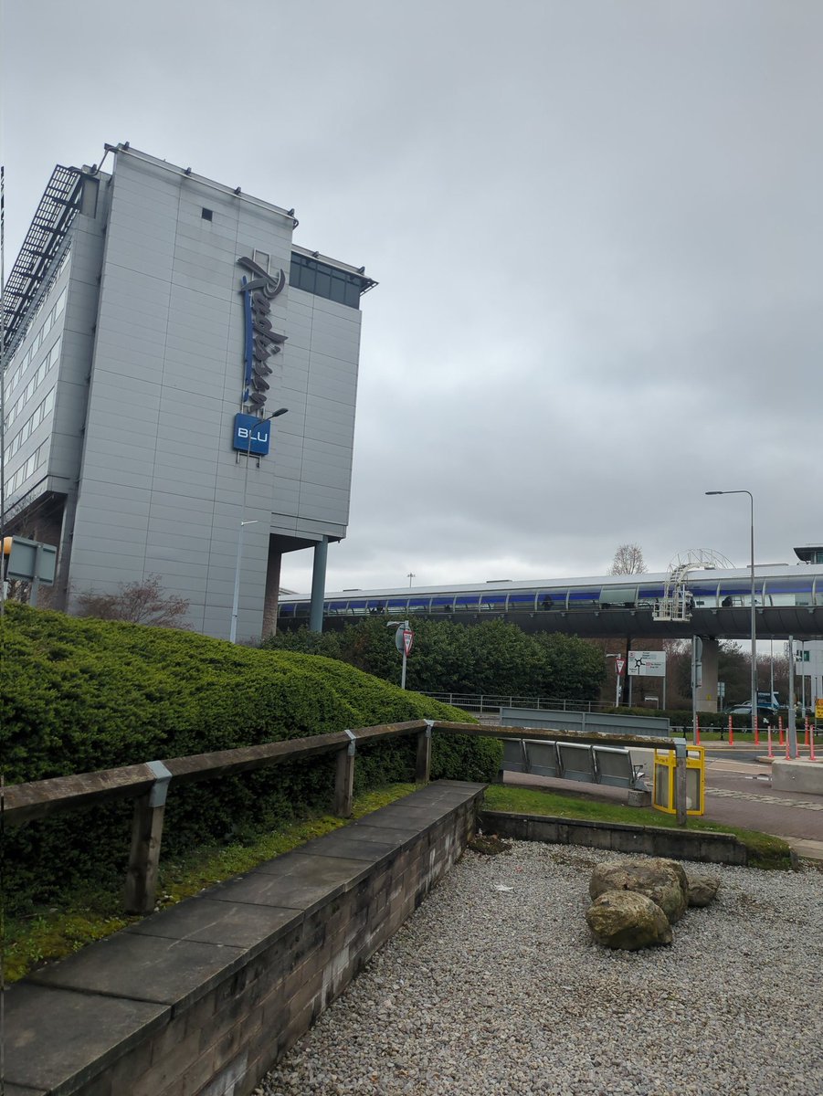 Ari 🏳️‍🌈 tweet media