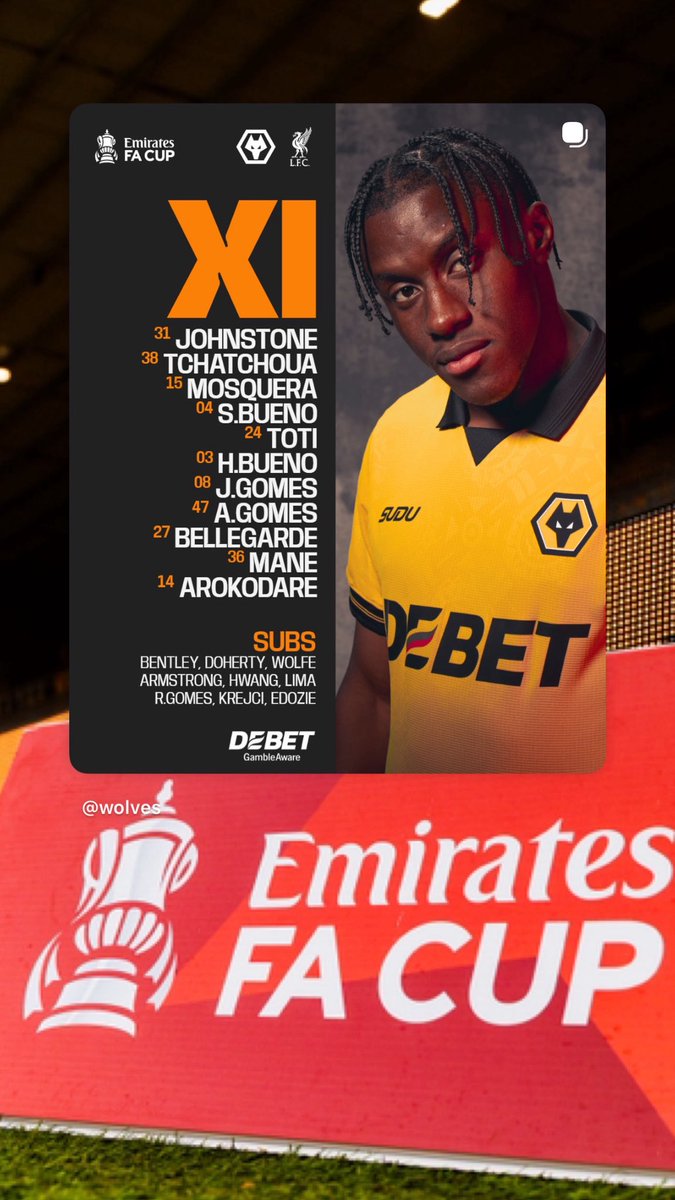 Young Wolves tweet media