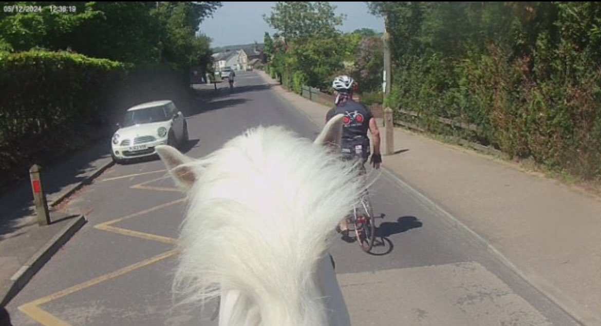 💙Climatecrisisbeliever🐴🦄❤️ 🔸🌎🔥 tweet media