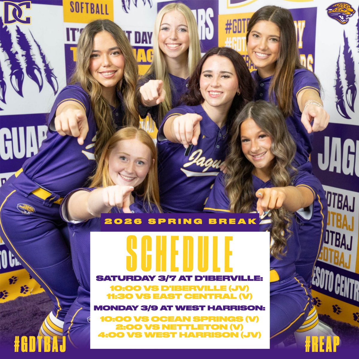 Desoto Central Jaguar Softball tweet media