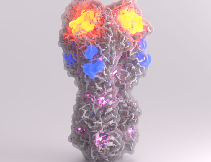 Science Translational Medicine tweet media