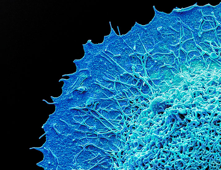 Science Signaling tweet media