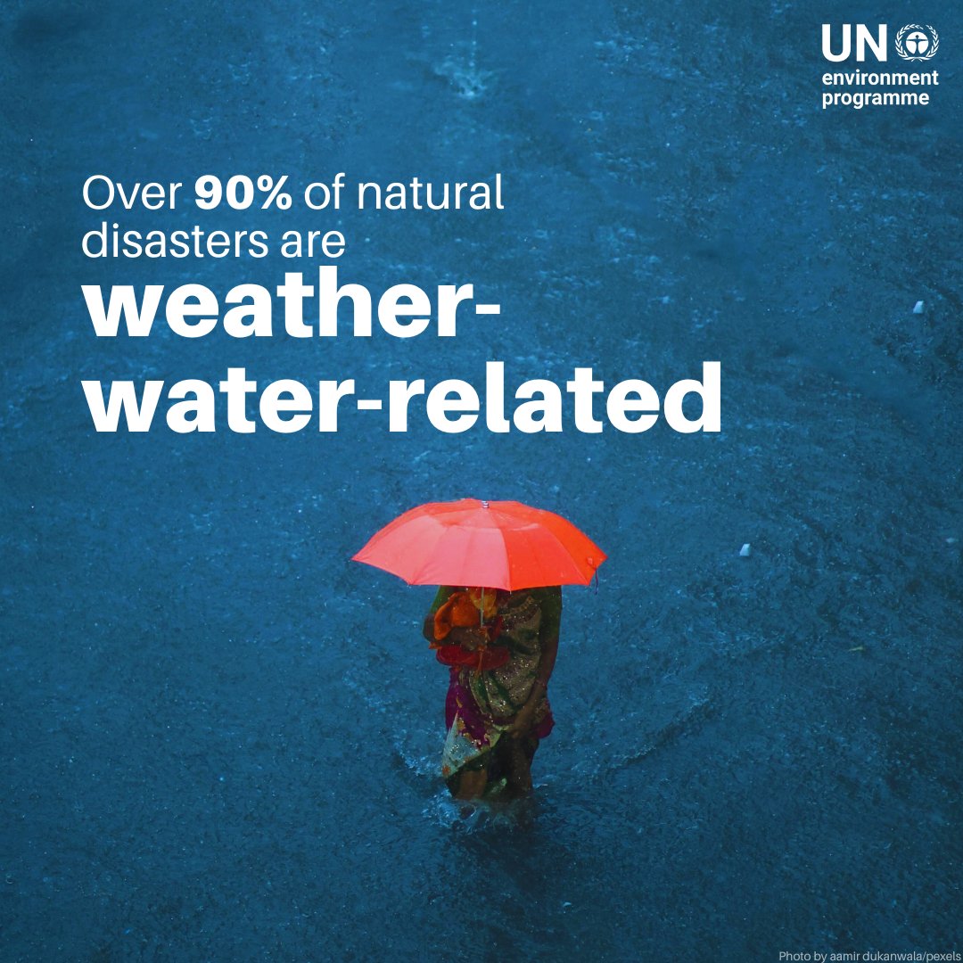 UN Environment Programme tweet media