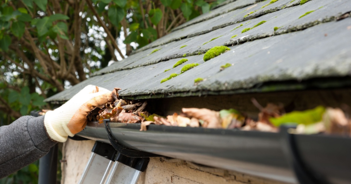 Durham Region Health Department tweet media