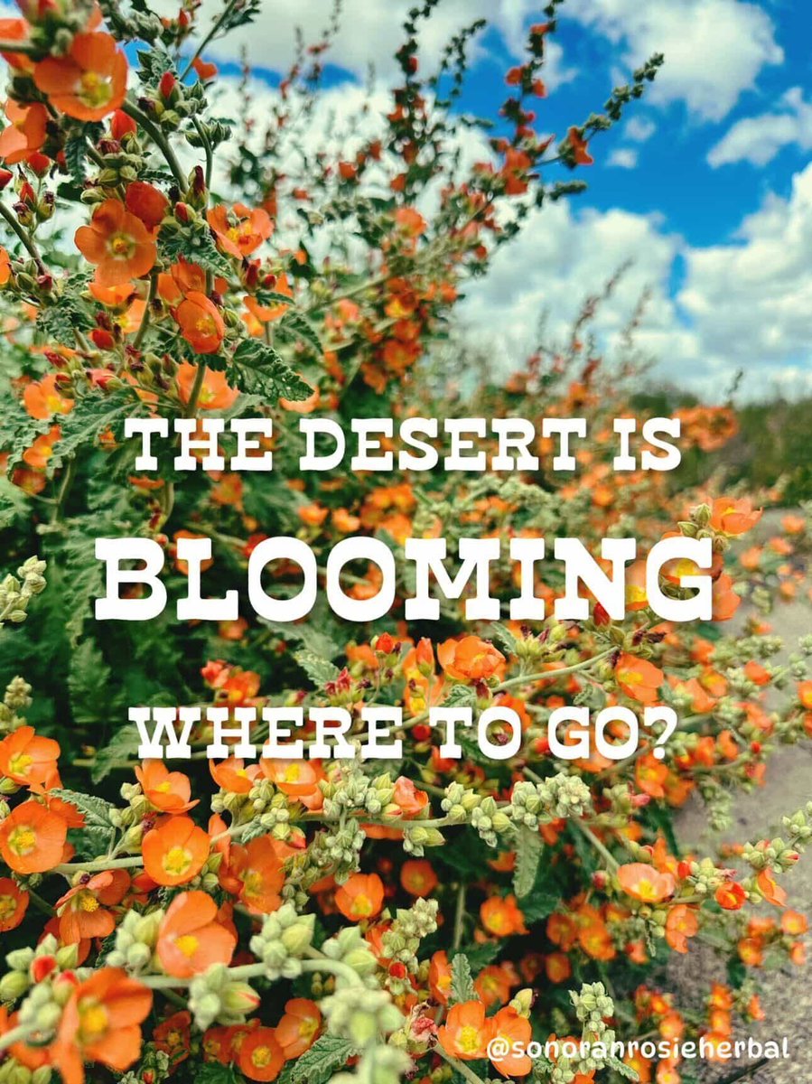 Water-Use It Wisely tweet media